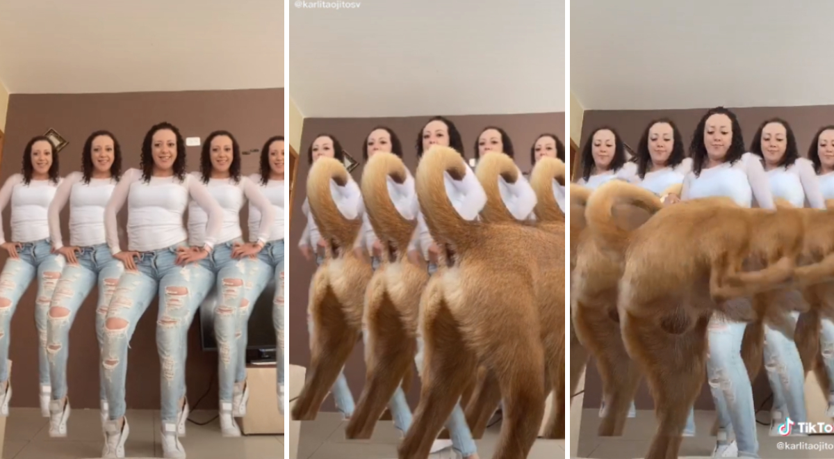 TikTok Viral Joven Intenta Ser Famosa En Tik Tok Pero Su Perro Le