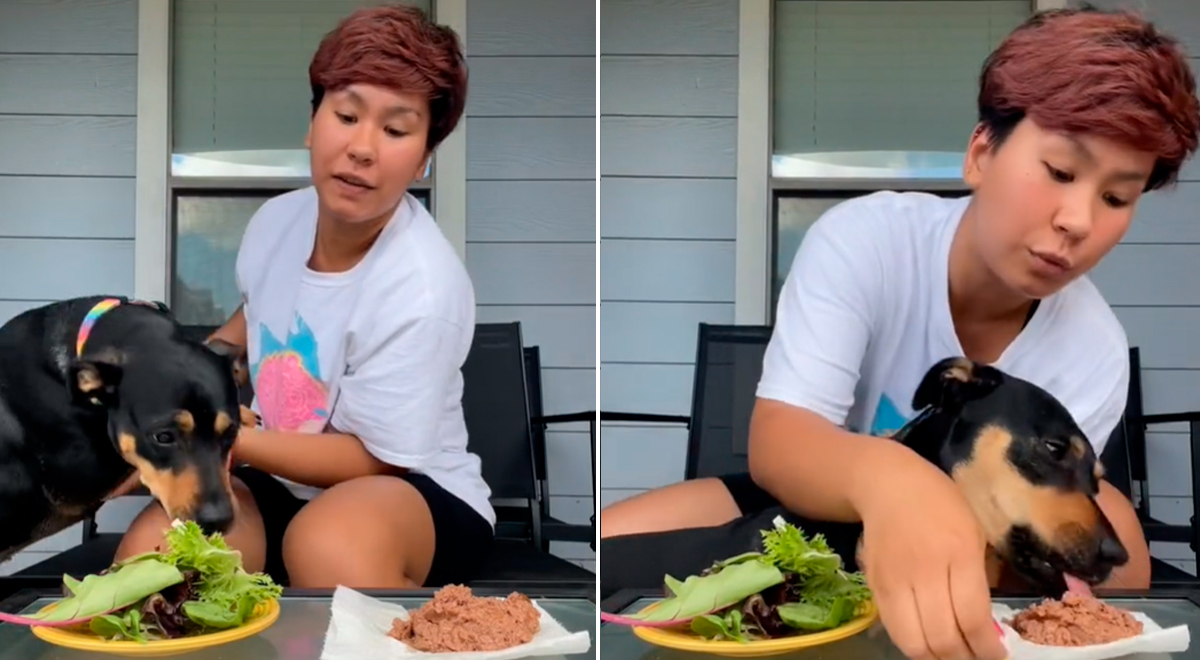 TikTok viral asegura que su perrita es vegetaría por elección pero