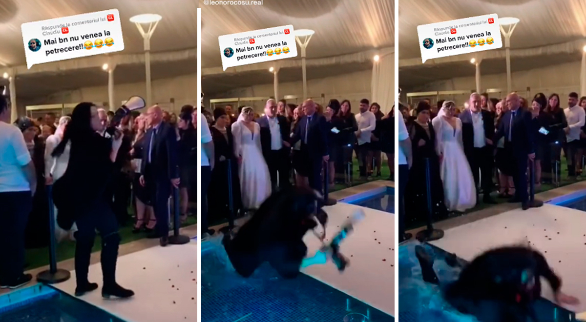 Tiktok Video Viral Fot Grafa Cae En La Piscina De Un Matrimonio Y Lo