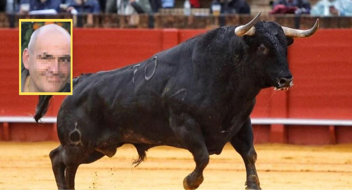 Espa A Viral Toro Se Hizo El Muerto Y Mat De Varias Cornadas A