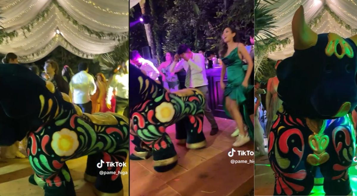 Tiktok Viral Torito De Pucar La Rompe Con Sus Pasos De Baile Y Fue La