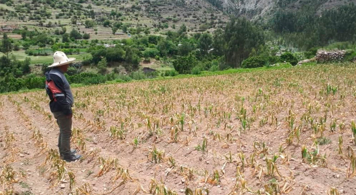 Estado de emergencia en Perú por escasez de agua cuáles son los