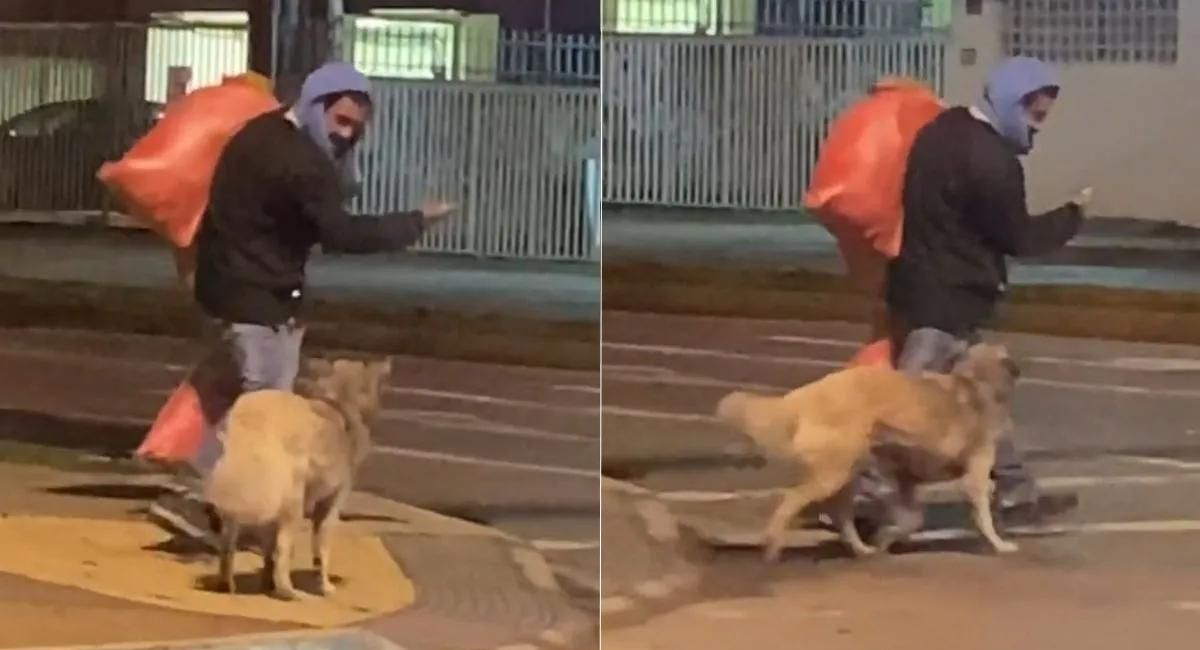 Tiktok Viral Indigente Ense A A Perrito Sin Hogar A Cruzar La Calle