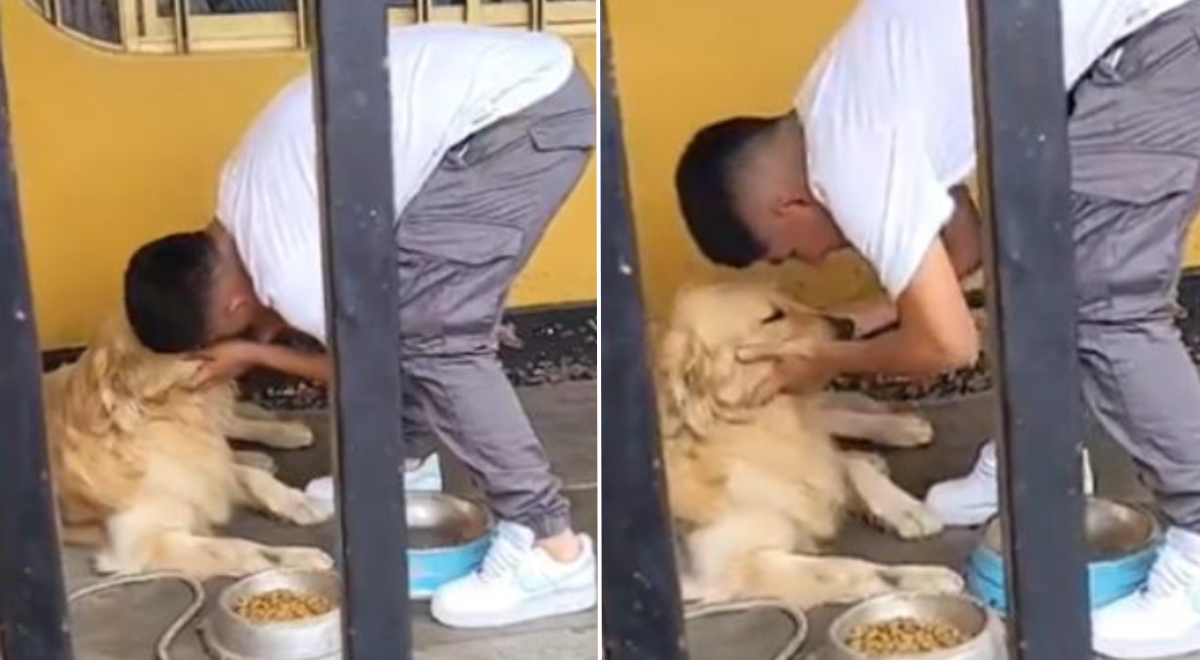 Piero Quispe Y La Tierna Despedida De Su Perro Drago Antes De Viajar