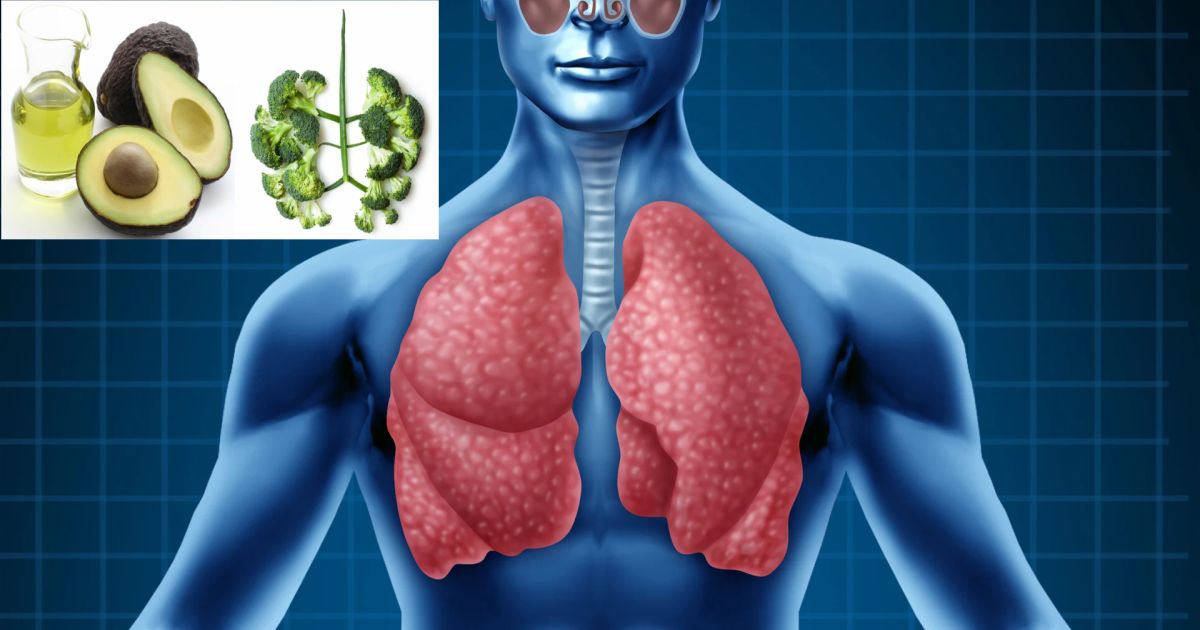 Los Alimentos Que Cuidan Tus Pulmones El Popular