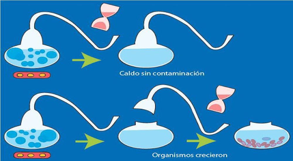 Teorías del origen de la vida Biogénesis escolar
