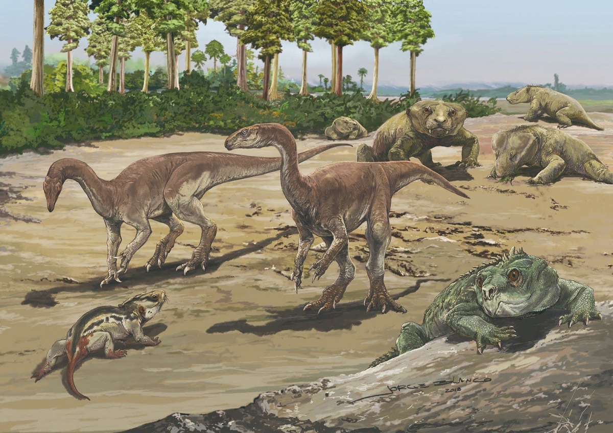 La era de los dinosaurios y el periodo triásico | escolar | educación | |  El Popular