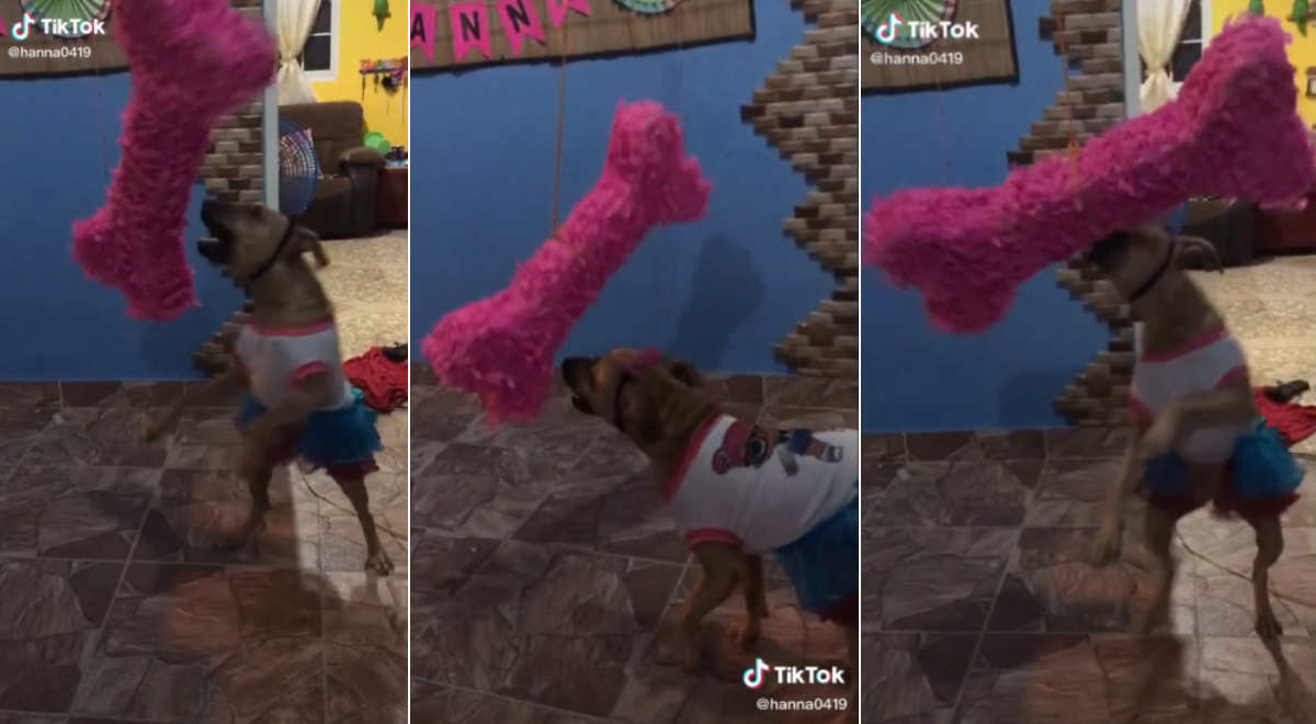 Cómo funciona el algoritmo de Tik Tok - Telefe Bahía Blanca
 |Tiktok Esquema Preferido
