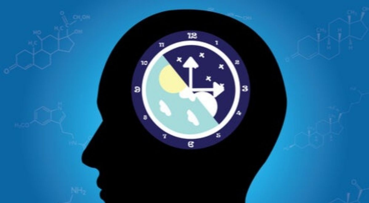 Como funciona sales el reloj biologico