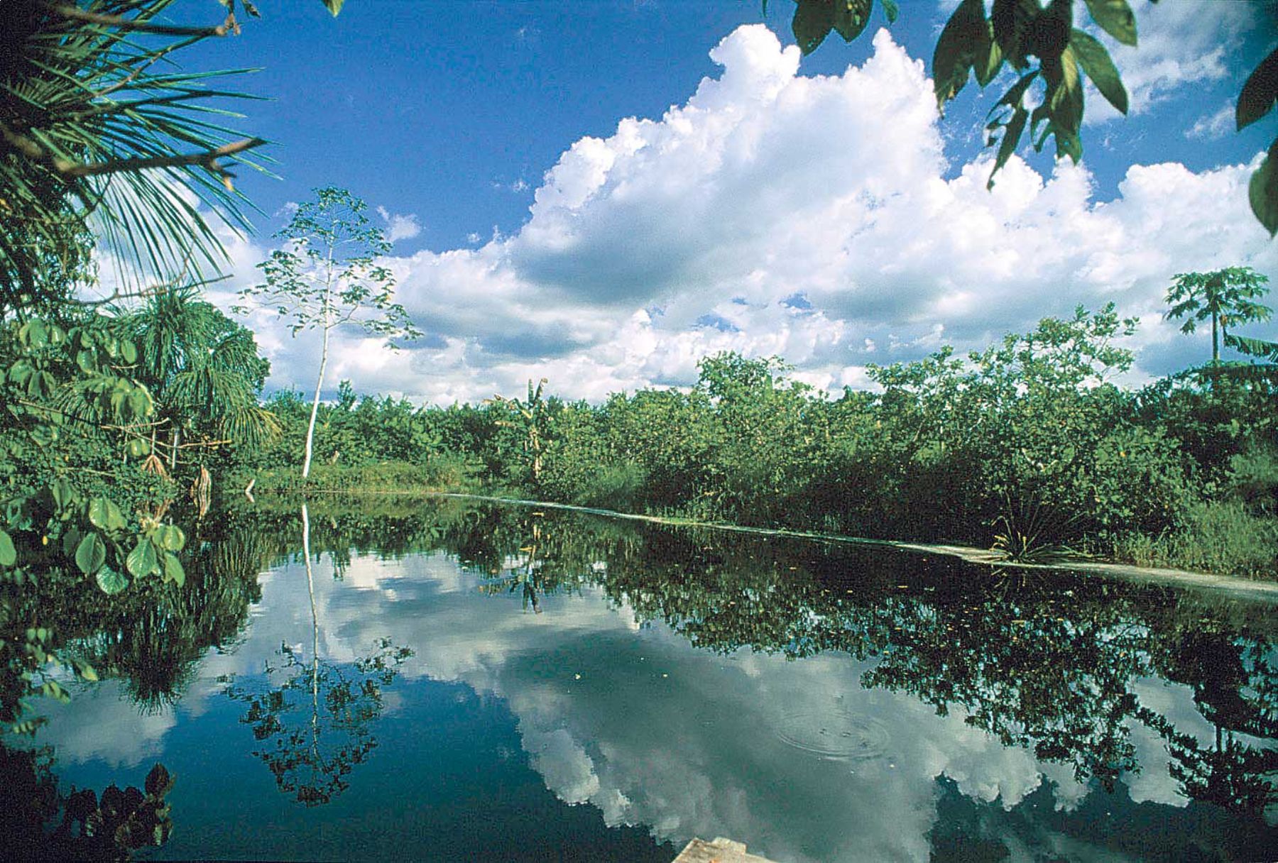 Conoce las 8 regiones naturales del Perú Ecorregiones de