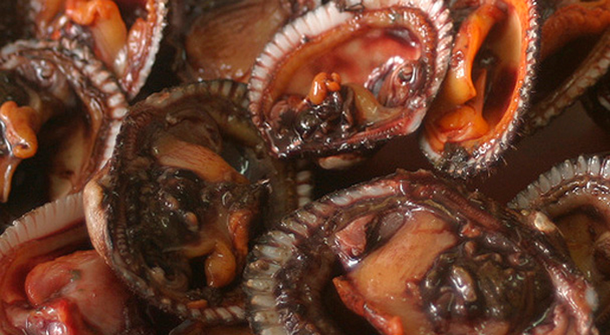 Gastronomía: las conchas negras ayudan en el desempeño sexual | receta | El  Popular