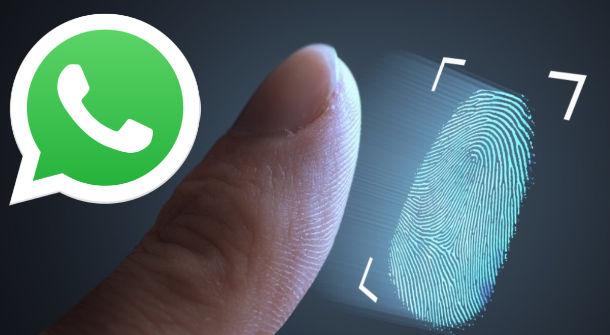 Whatsapp Web Contará Con Inicio De Sesión Por Huella Dactilar Whatsapp Móvil Truco Android 4163