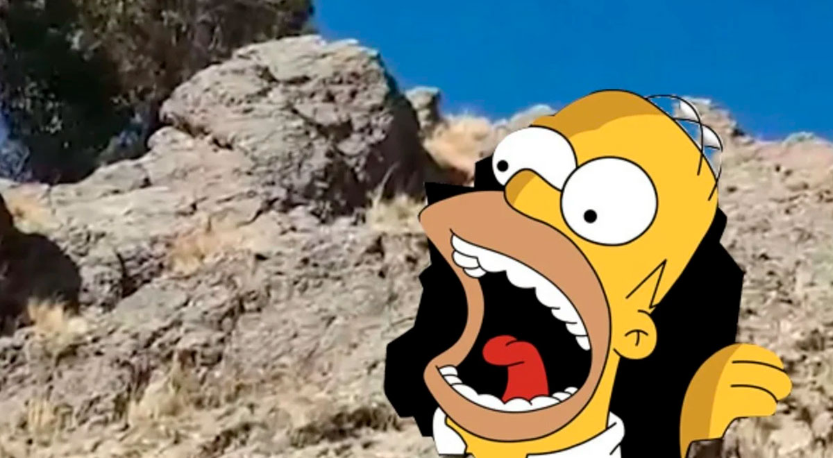 Facebook Una piedra similar al rostro de Homero Simpson causa furor en Facebook Una piedra similar al rostro de Homero Simpson causa furor en