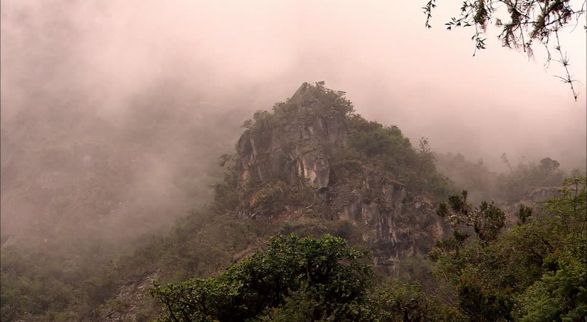 RupaRupa Wikipedia informacionpublica.svet.gob.gt