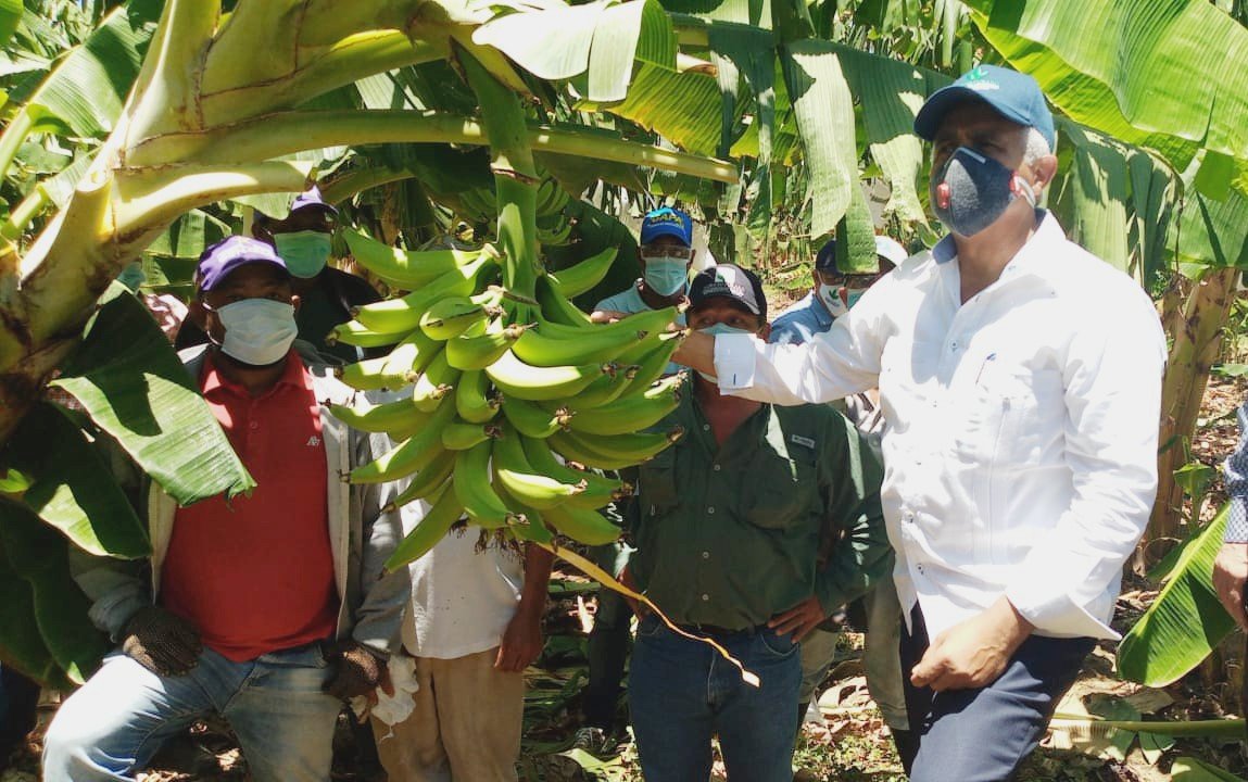 Conoce las 8 regiones naturales del Perú Región Selva Baja, actividades ecónomicas educación Conoce las 8 regiones naturales del Perú Región Selva Baja, actividades ecónomicas educación