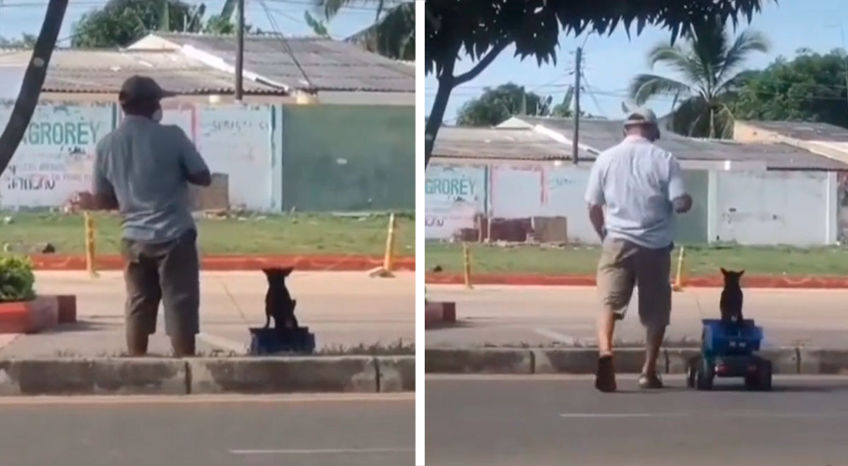 TikTok viral: Hombre pasea a su perrito dentro de un carro de juguete y ...