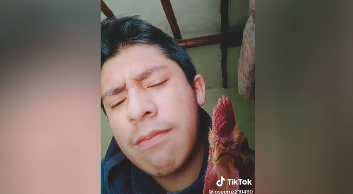 TikTok viral joven hace un challenge junto a su gallo y hacen reír a miles de usuarios video