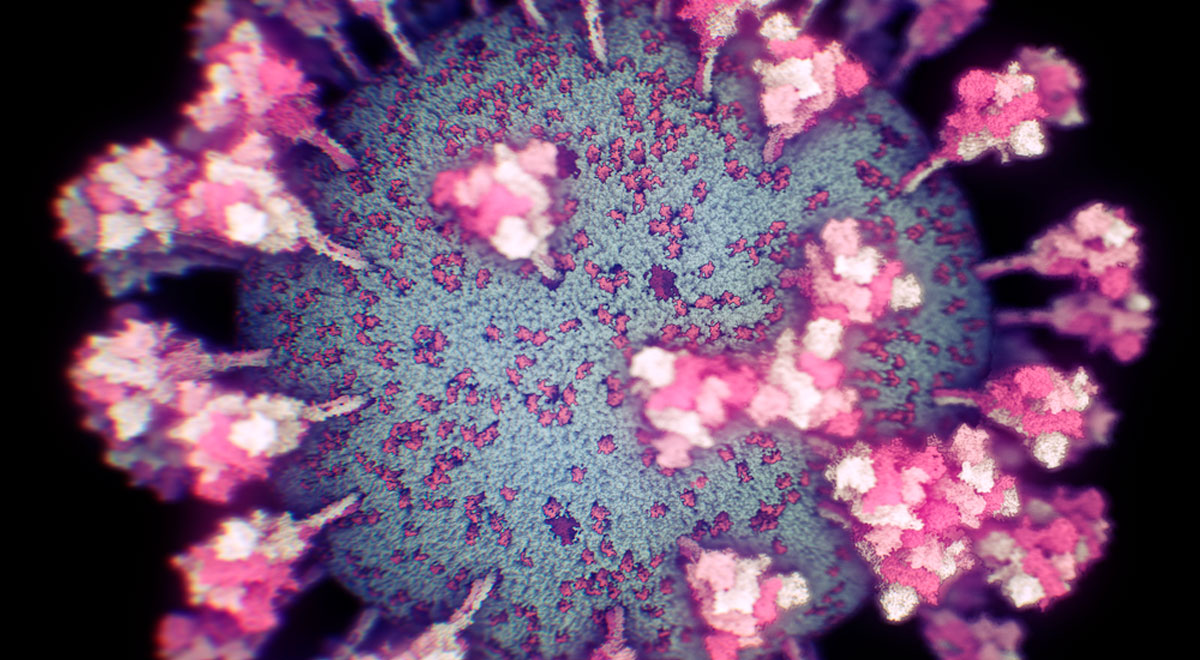 Coronavirus: revelan la primera imagen real del virus SARS CoV 2 en 3D ...