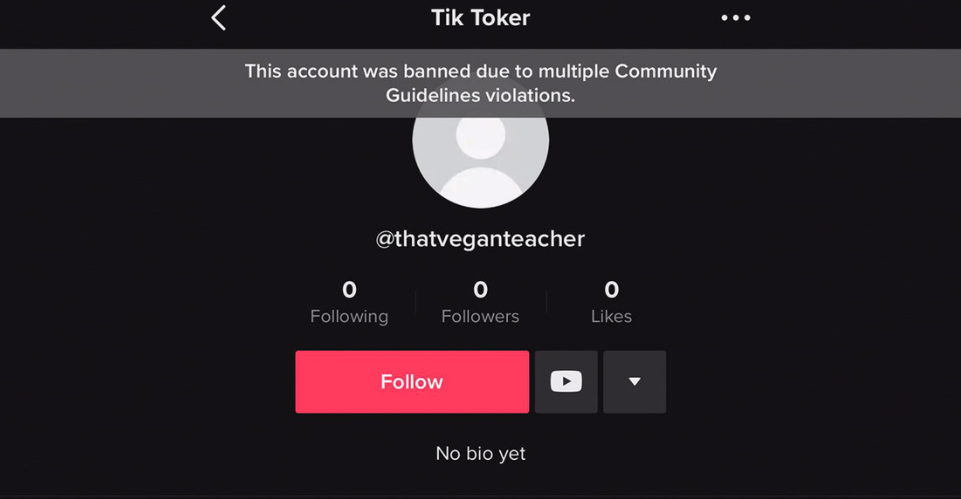 Como Recuperar Cuenta De Tiktok Bloqueada