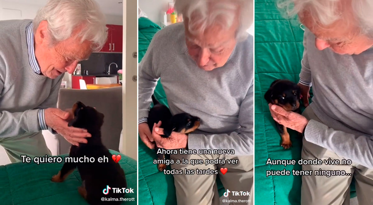 TikTok video viral: Adulto mayor recibe un perrito de regalo y su ...