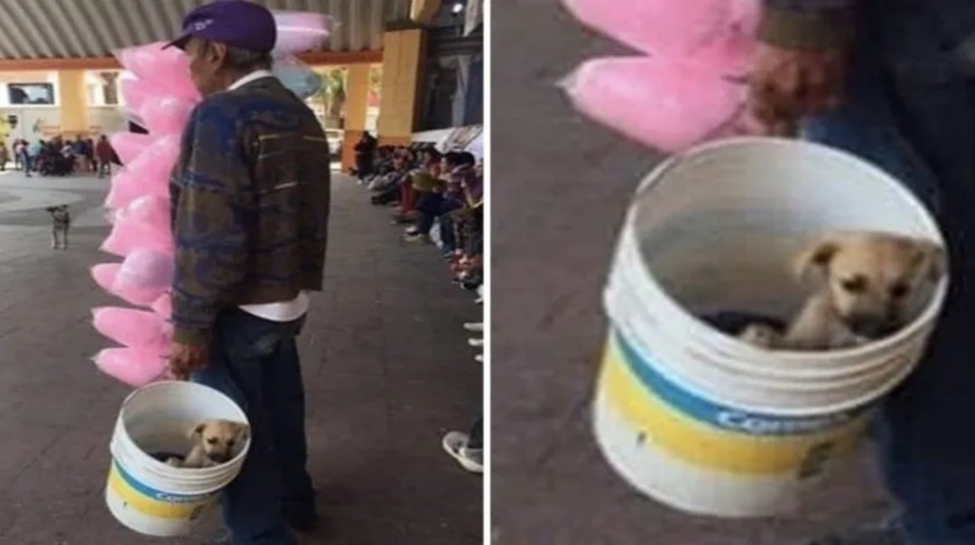 Facebook foto viral México: Adulto mayor conmueve en redes al llevar a ...