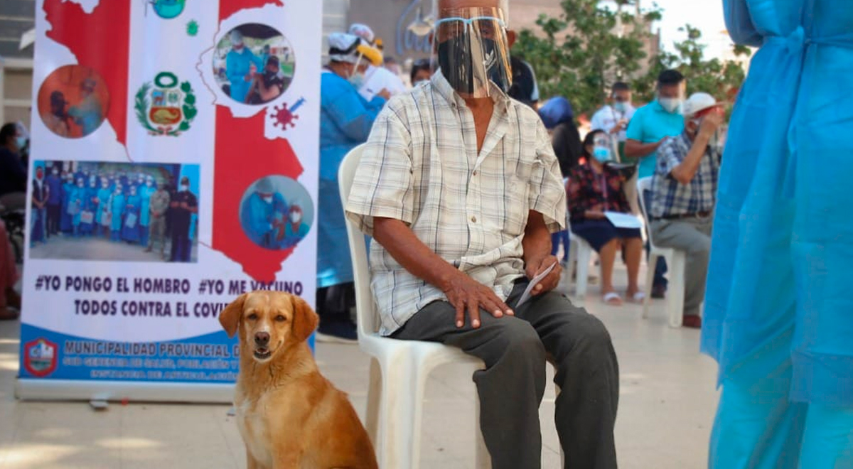 Facebook viral Piura: adulto mayor acude a vacunación contra el ...