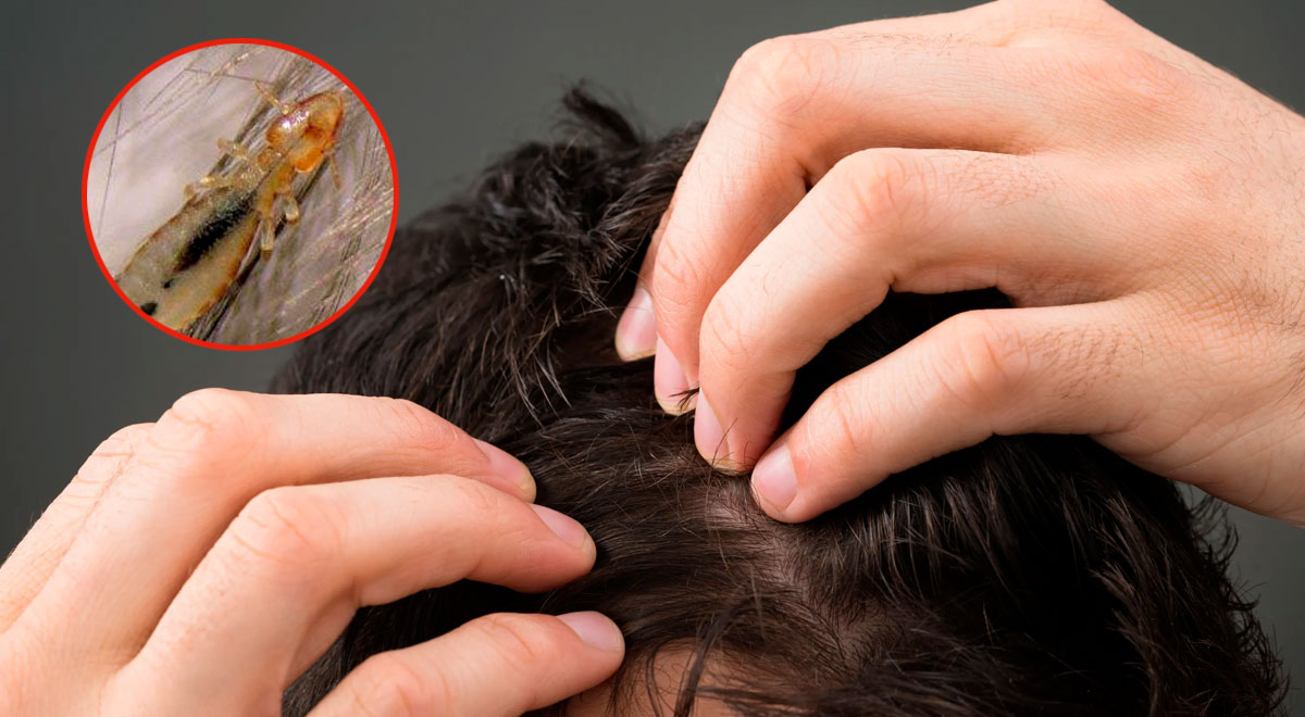 Soñar Viendo A Una Amiga Embarazada Soñar con embarazo: Qué significa soñar con el embarazo de una amiga,  interpretación de los sueños, predicciones, leer sueños | El Popular