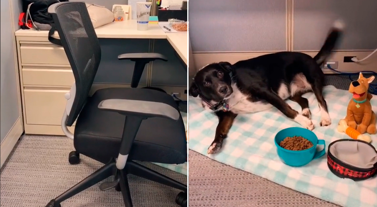 TikTok viral: Joven retorna al trabajo presencial, pero no olvida a su ...