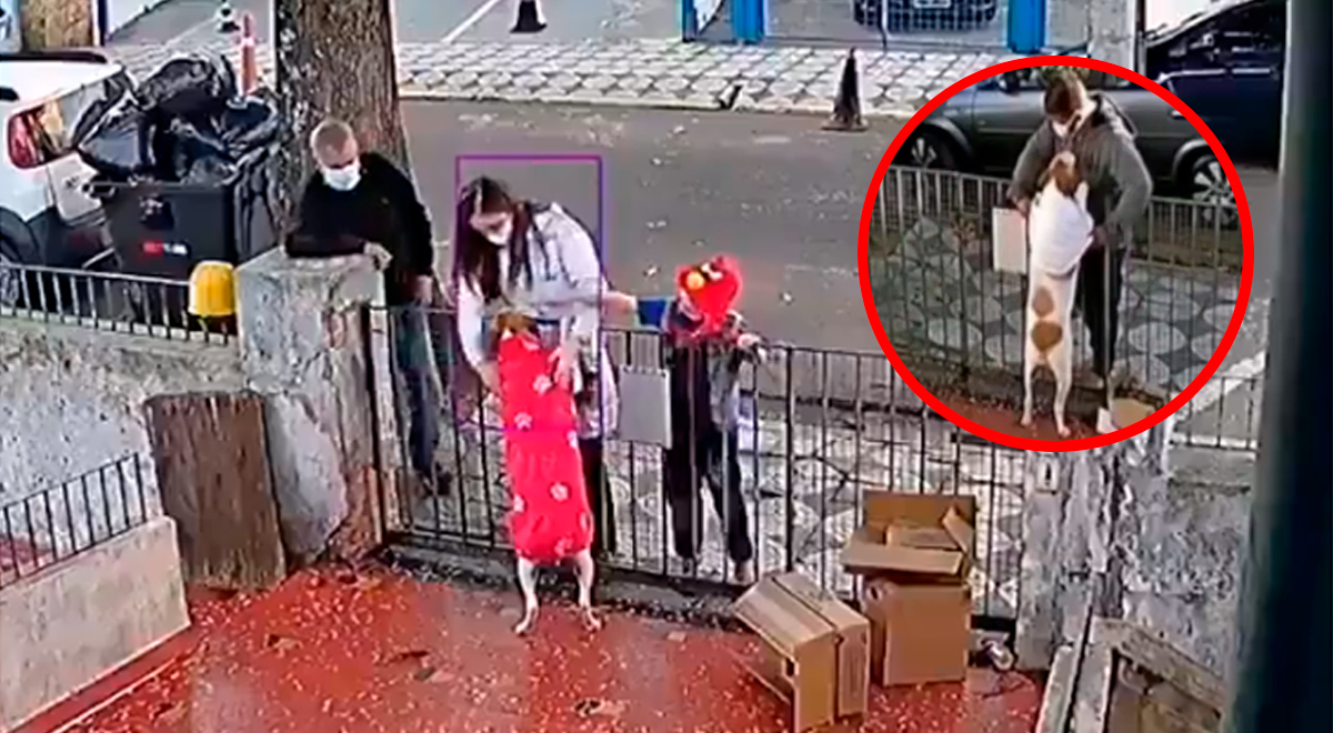 Facebook viral Argentina: family gives a puppy a sweater after a thief takes his coat, video