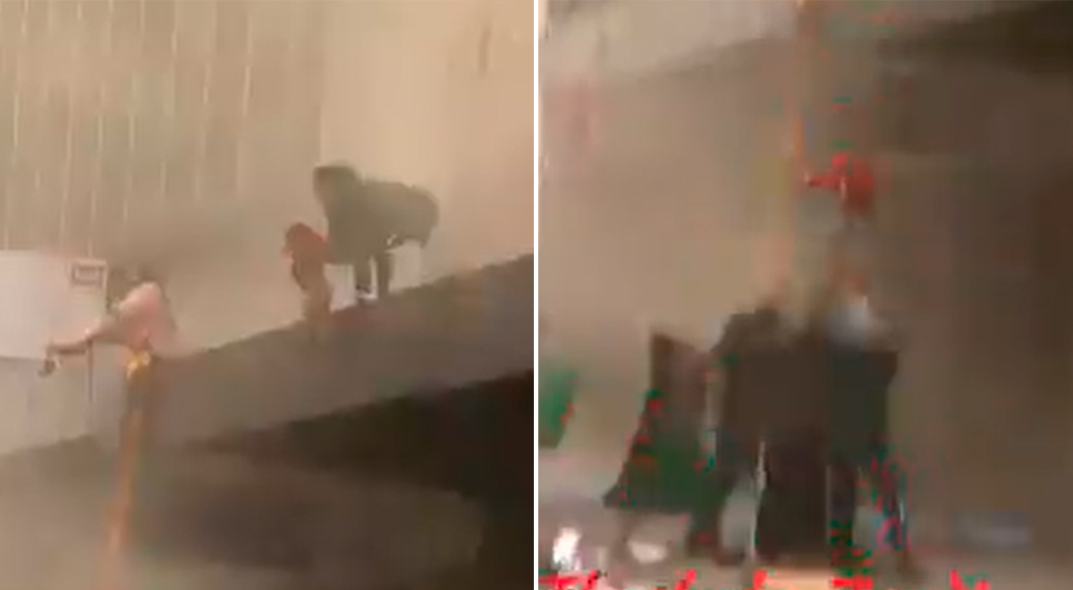 Sudáfrica: Madre arroja a su hija de dos años desde un edificio para ...