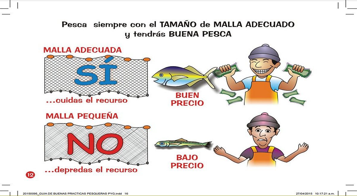 Pesca todo sobre lo que debes saber de la actividad económica primaria del Perú El Popular Pesca todo sobre lo que debes saber de la actividad económica primaria del Perú El Popular
