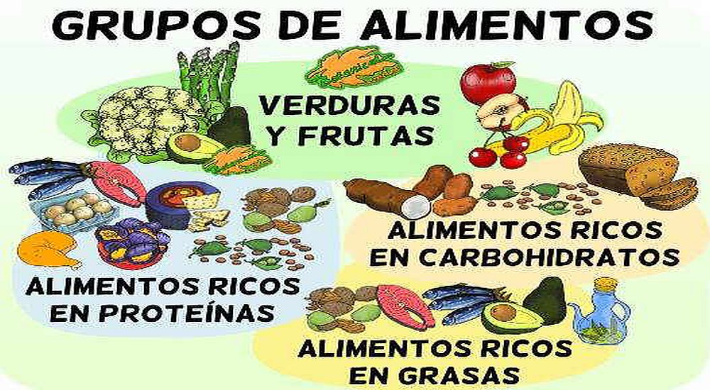 Los Alimentos Y Sus Nutrientes Conoce Cuáles Son Sus Funciones En El Organismo El Popular 4471