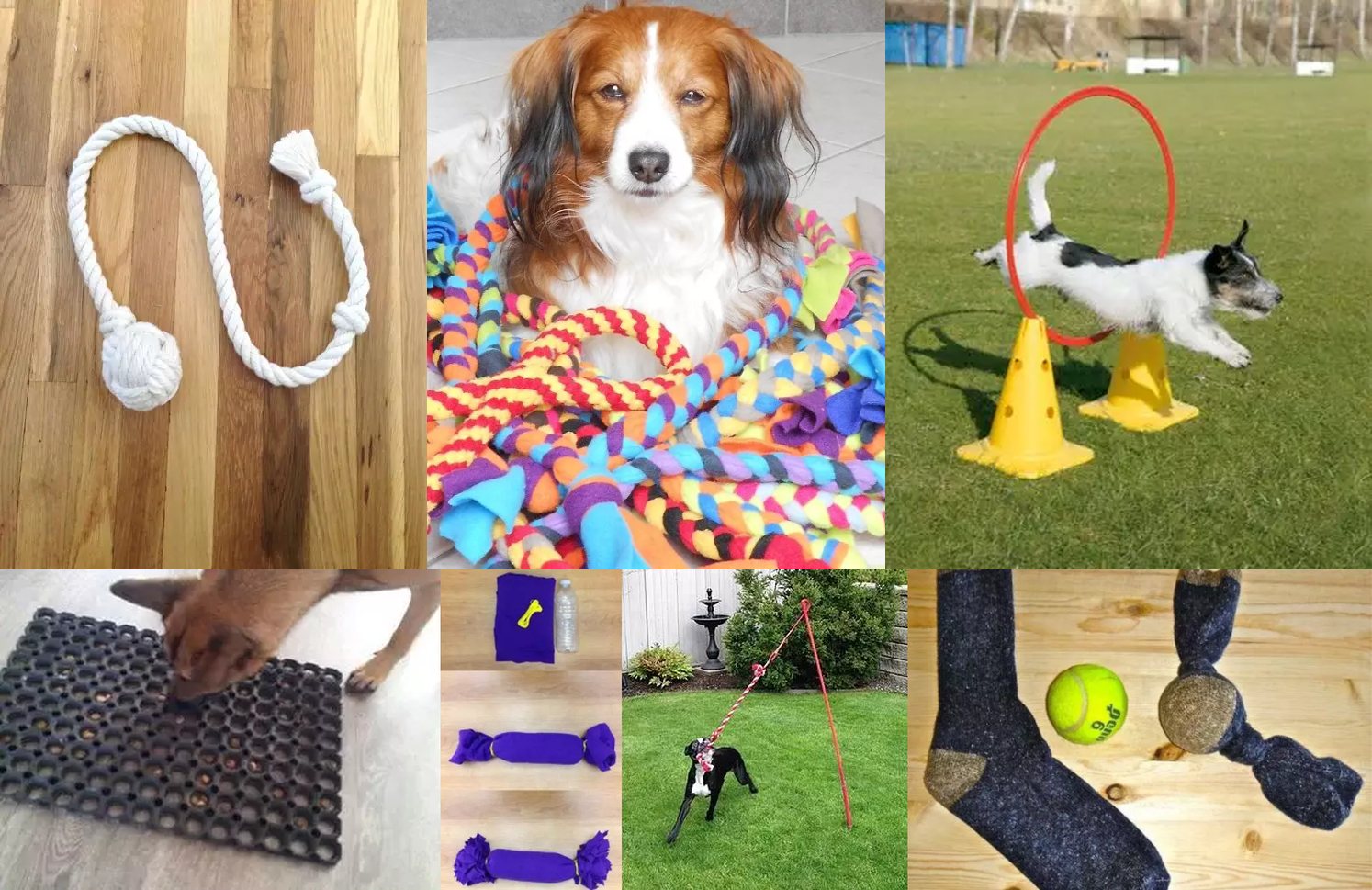 Mascotas: Cómo hacer juguetes caseros para mi perro en sencillos pasos  trucos caseros