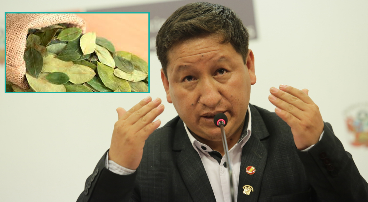 Guido Bellido presentó proyecto de ley para que la hoja de coca sea ...