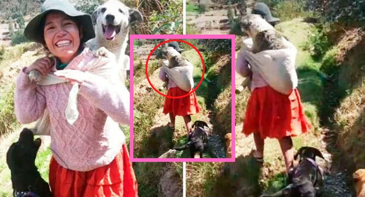TikTok video viral Perú: mujer carga a su perrito anciano en su espalda ...
