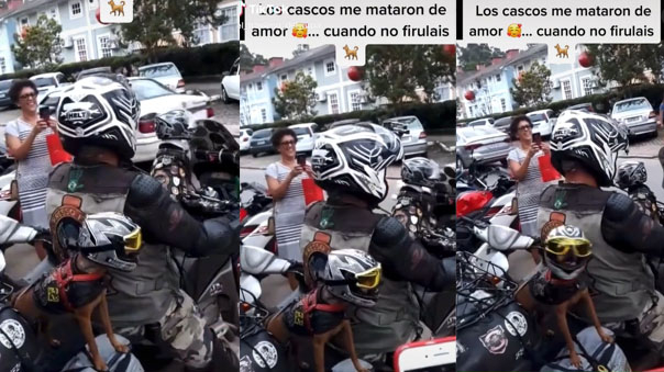 Perritos causan furor por lucir cascos al igual que su dueño en una moto y curiosa escena es viral