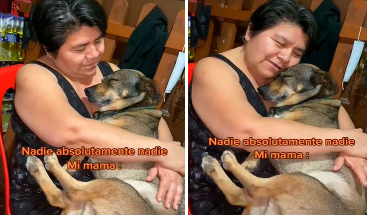 Madre de familia canta su perrita para que se duerma entre sus brazos y escena conmueve en TikTok