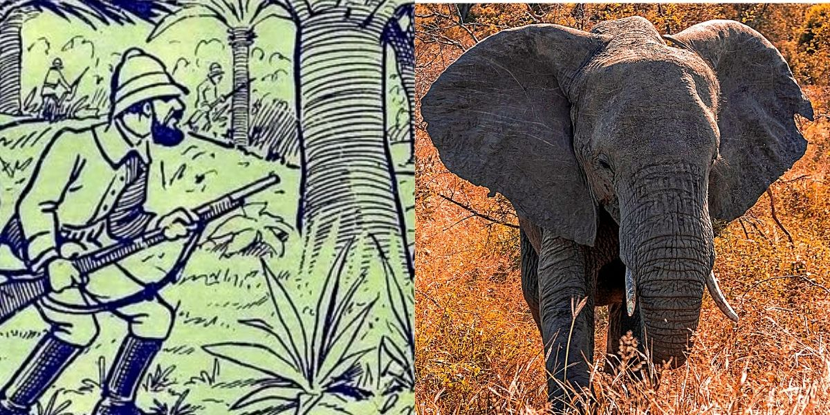 Reto visual difícil: encuentra al elefante en menos de 15 segundos | El ...