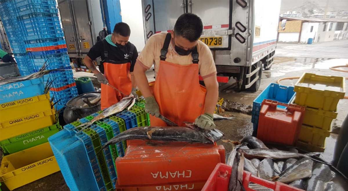 Ancón Comerciantes Y Pescadores Rematan Pescados Tras El Derrame De