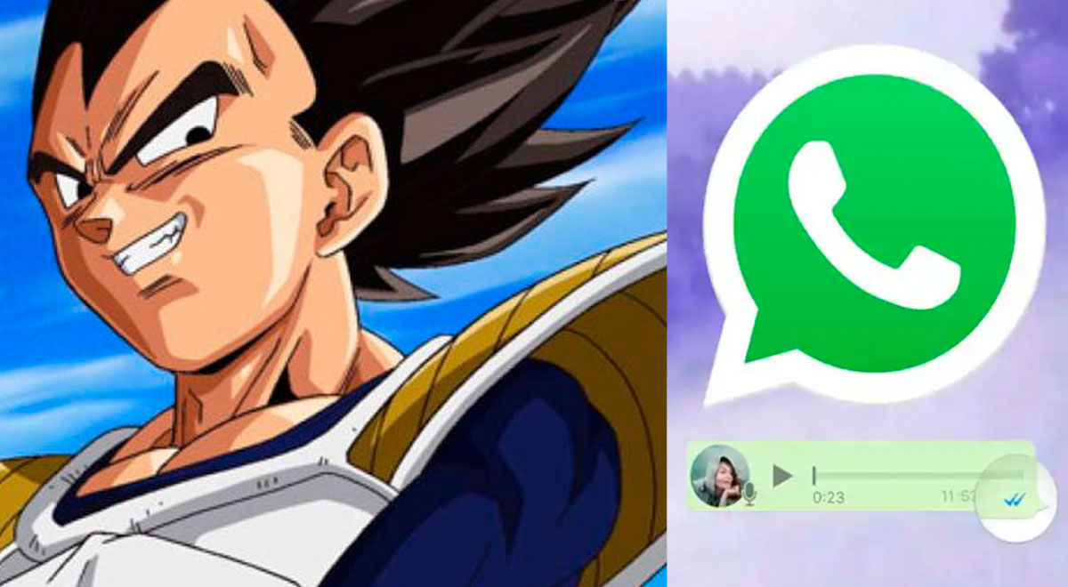 WhatsApp, Aprende a enviar audios con la voz de Vegeta de Dragon Ball  Super sin instalar apps, Aplicaciones, Smartphone, Tecnología, Truco, Tutorial, Celulares