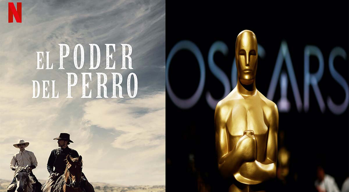 Oscar 2022: lo que no sabías de El poder del perro, de Benedict  Cumberbatch película nominada de Netflix
