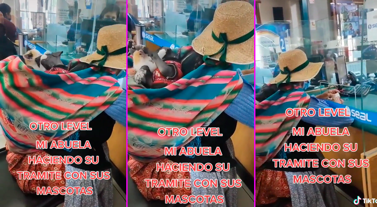 TikTok viral Perú: Adulta mayor carga a su perrito y gatito en la ...