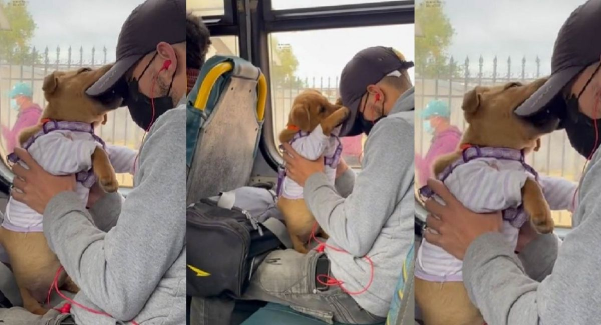 TikTok video viral Chile: joven se pone a jugar en pleno bus con su ...
