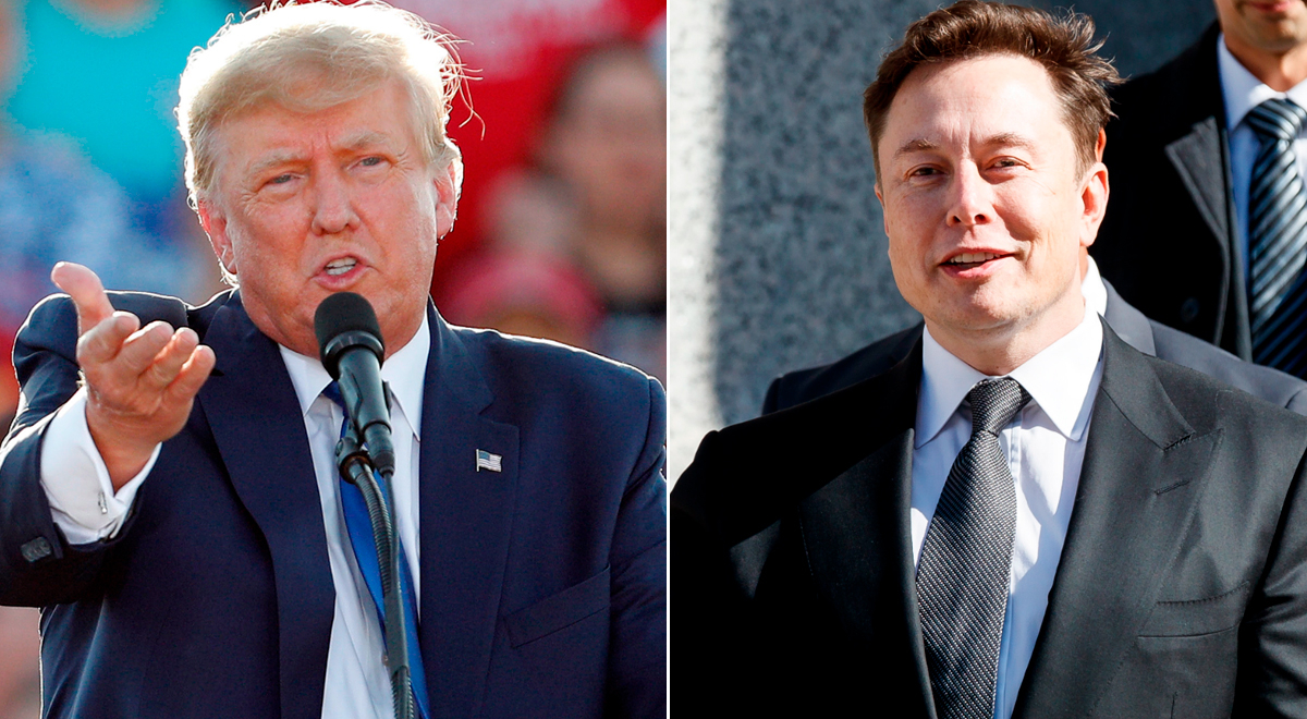 Twitter Elon Musk: Donald Trump reacciona a la compra de la red social ...