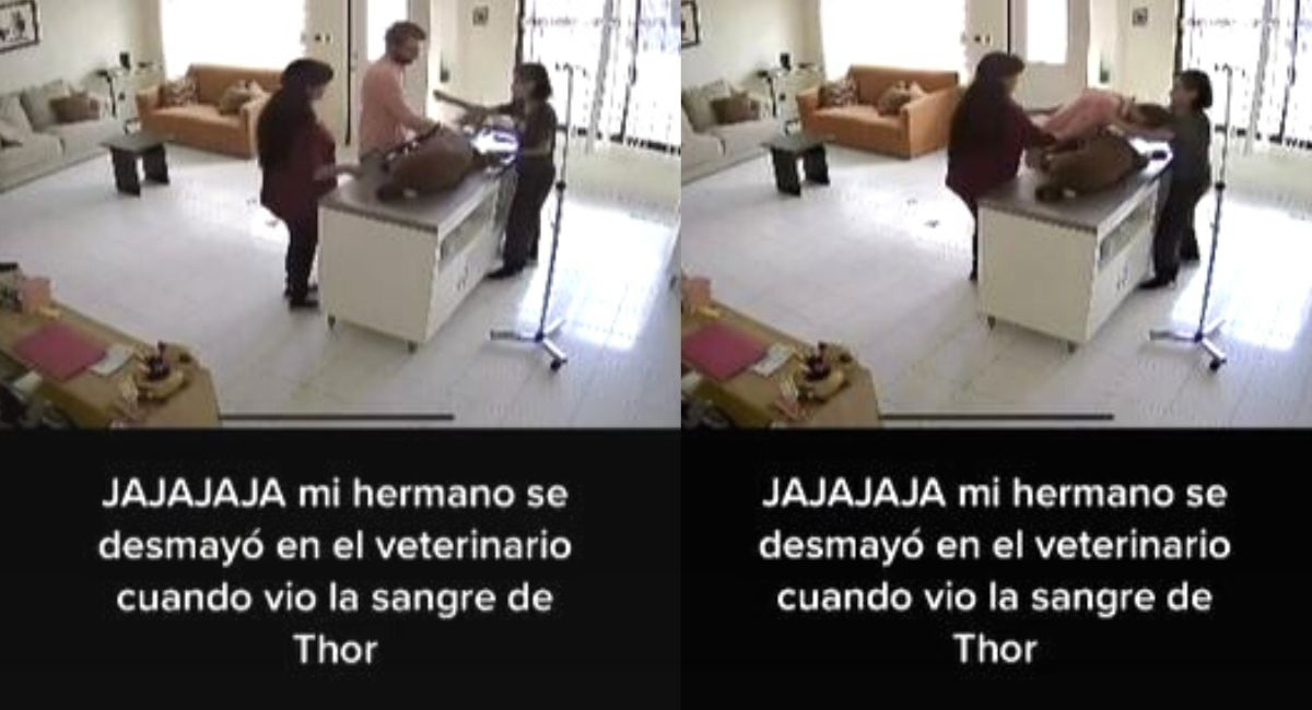 TikTok video viral: joven lleva a su perro al veterinario, pero se ...