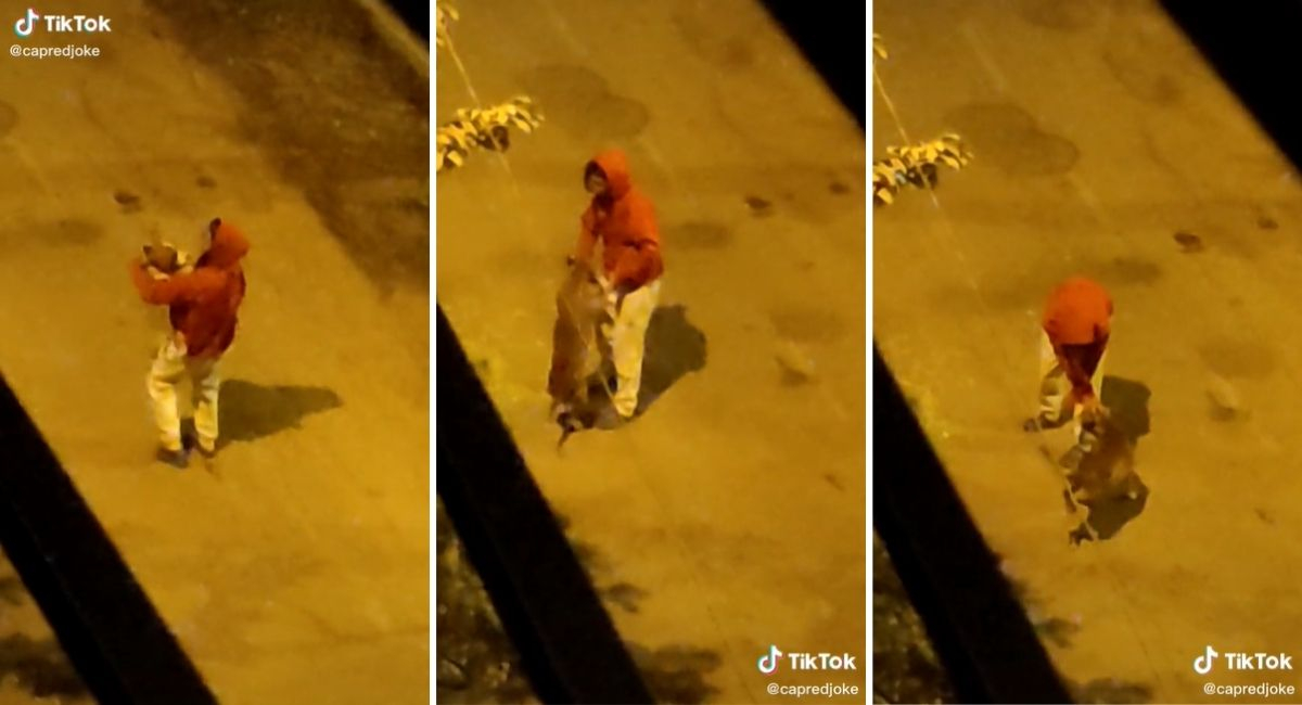 TikTok vídeo viral: hombre carga a su perrito para bailar en plena ...