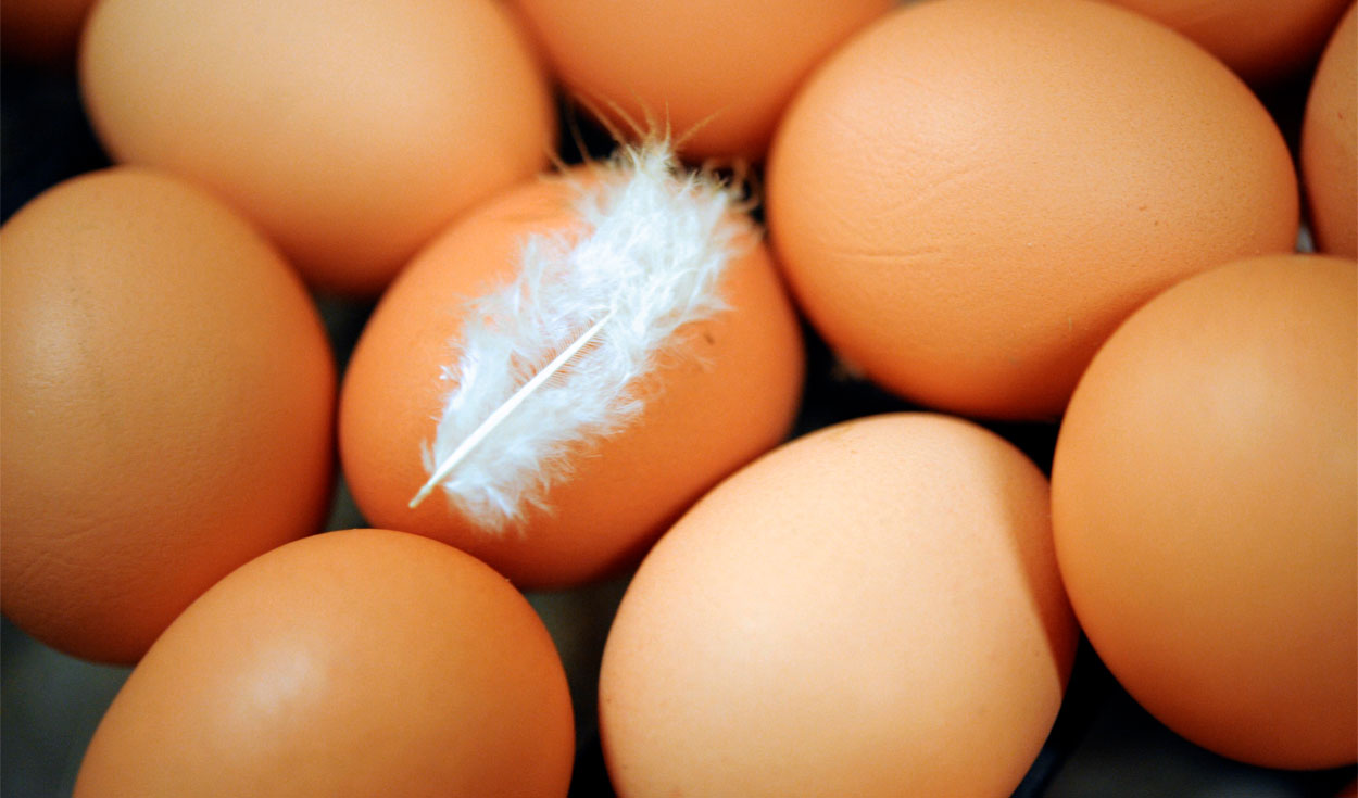 Precio del huevo sube el kilo a S/ 7.00 en mercados de Lima, video