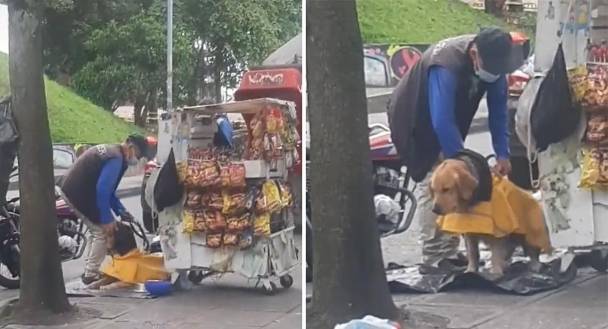 TikTok video viral: Señor lleva a su perrito al trabajo, le hace una ...