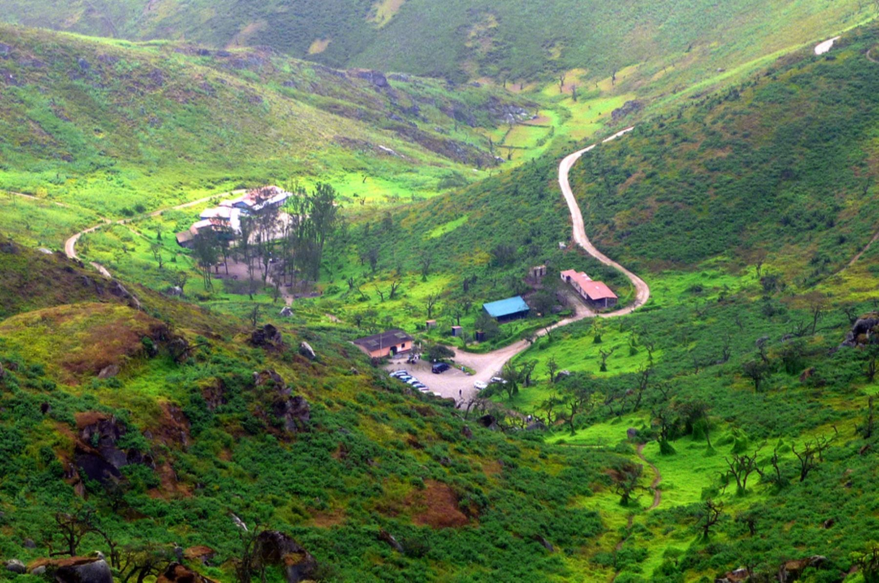 Lazy loaded component image