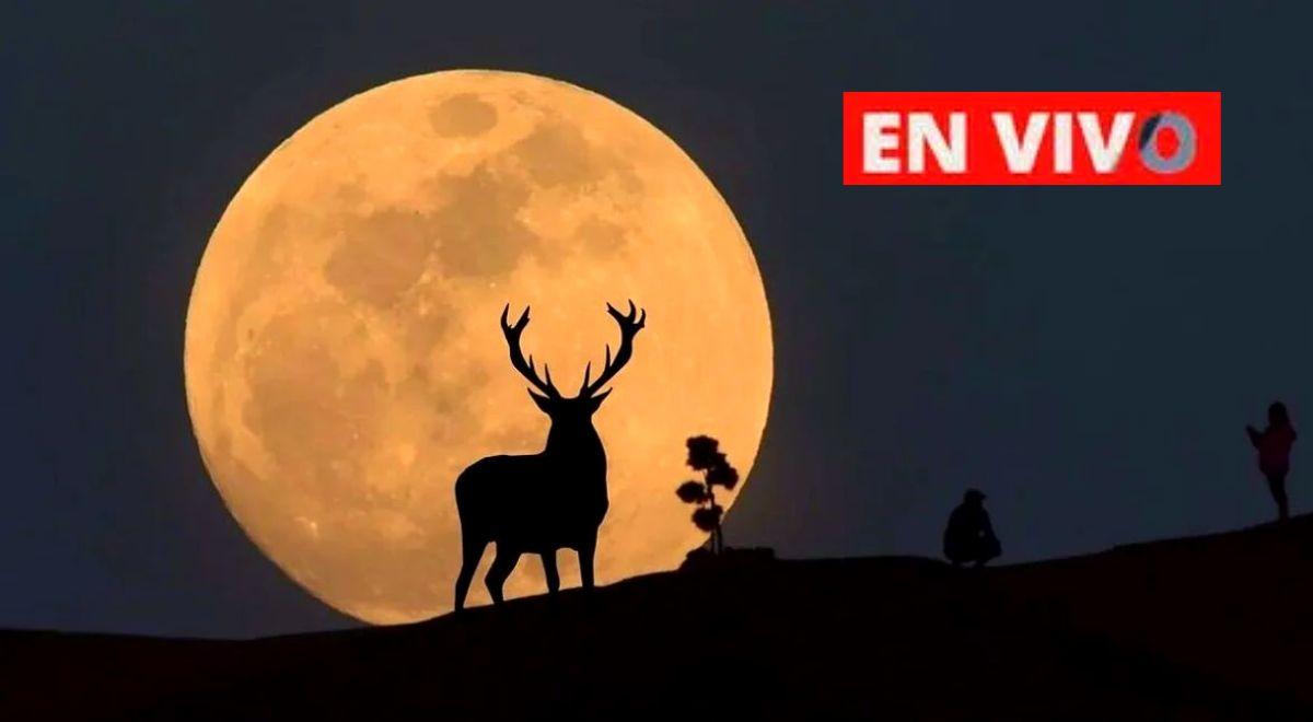 Luna de ciervo EN VIVO 2022 aquí conoce cómo ver la superluna más